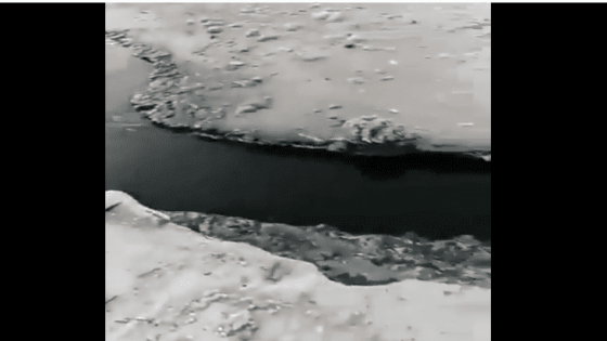 الطاقة: لا مواد نفطية في فيديو البحر الميت