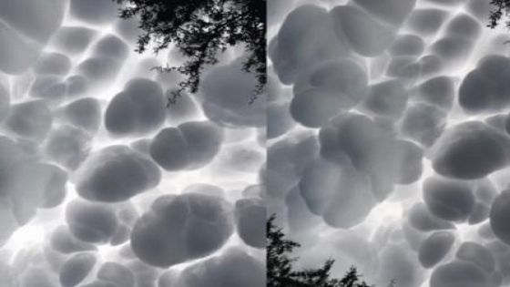 ظهور ماماتوس في سماء الأرجنتين.. فيديو يرصد ظاهرة نادرة