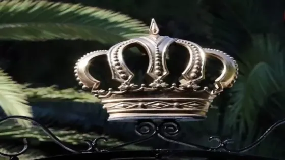 تعيين مجلس أمناء المتحف الوطني للفنون الجميلة برئاسة الاميرة وجدان (اسماء)