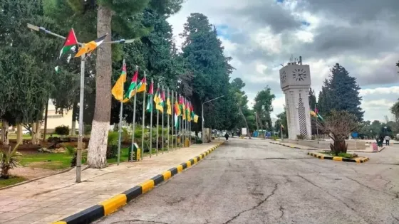 التعليم العالي بالأرقام.. الجامعات الرسمية تستقطب 60% من الطلبة