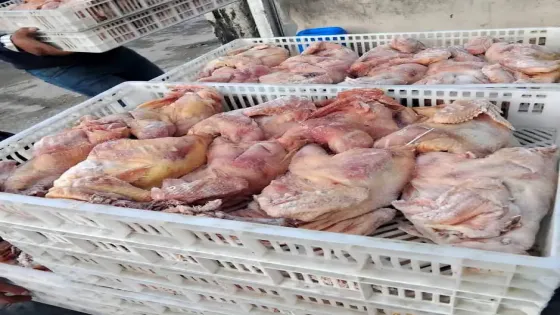 بلدية بني عبيد تغلق مسلخ دجاج مخالفاً للصحة العامة في الصريح