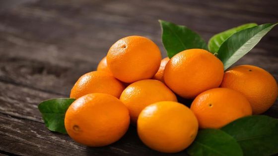 الزراعة توضح حول البرتقال الذي يحتوي على ديدان