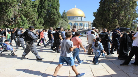 دراسة : الشباب المقدسي الأكثر تعليما مقارنة بباقي الفلسطينيين