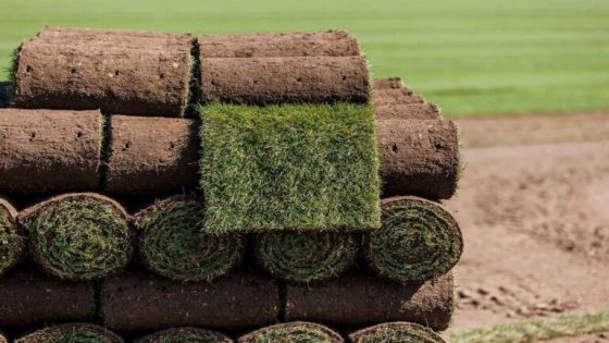 مشروع بمئات آلاف الدنانير يتعثر… فشل مشتل رولات العشب يضع وزارة الشباب أمام المساءلة