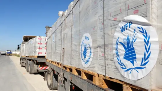 الأغذية العالمي: لدينا غذاء لإطعام غزة شريطة صمود وقف النار