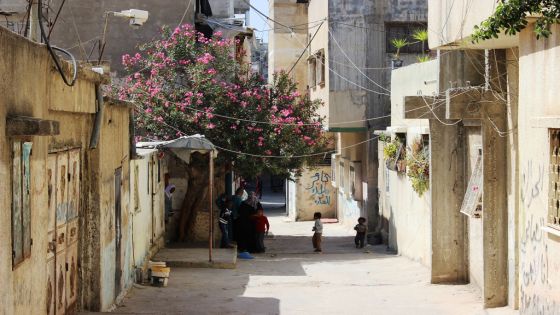 لجان خدمات المخيمات الفلسطينية تستنكر محاولة التشكيك بدور الأردن