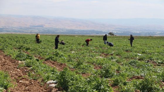 وفاة وإصابتان بضربة شمس في الأغوار الوسطى