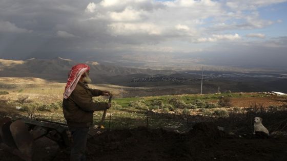 الزراعة: الموسم المطري إيجابي للقطاع مقارنة بالعام الماضي