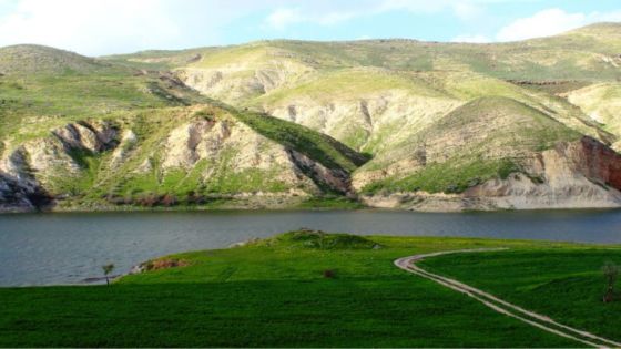 إقبال سياحي لافت على المواقع الأثرية والطبيعية في إربد