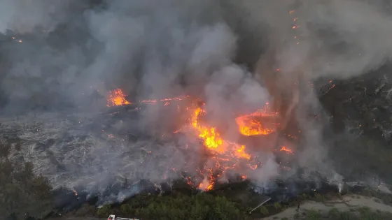 الأمطار تُخمِد حرائق رأس البسيط في اللاذقية