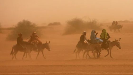 الدعم السريع يقترب.. لاكروا: مدينة الفاشر بالسودان تحبس أنفاسها