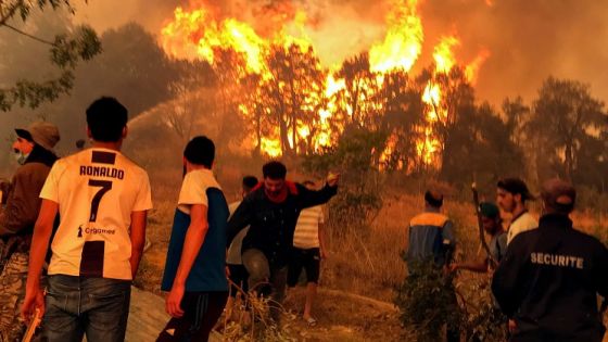 FILE PHOTO: Villagers attempt to put out a wildfire, in Achallam village, in the mountainous Kabylie region of Tizi Ouzou, east of Algiers, Algeria August 11, 2021. REUTERS/Abdelaziz Boumzar/File Photo