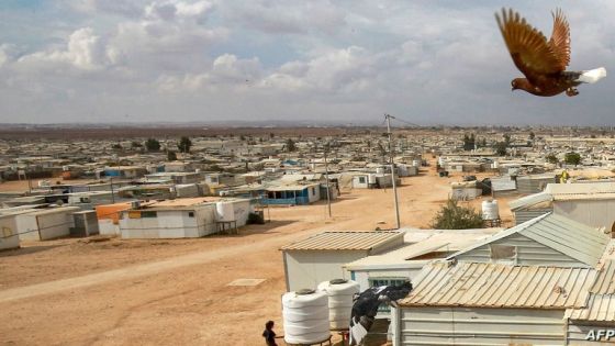 A pigeon flies over the Zaatari refugee camp, some 80 kilometres (50 miles) north of the Jordanian capital, on November 19, 2021. (Photo by Khalil MAZRAAWI / AFP)