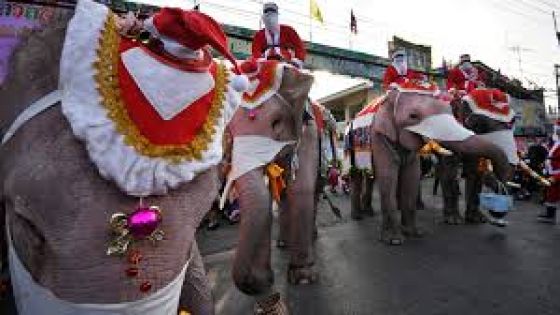 من على ظهر فيل.. بابا نويل يوزع الكمامات في تايلاند