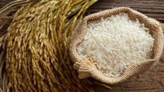 ارتفاع عالمي على أسعار الأرز بسبب ارتفاع تكاليف الشحن وارتفاع أسعار الأسمدة