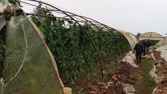 وزير الزراعة يوجّه بحصر أضرار المنخفض الجوي الأخير في محافظات الجنوب