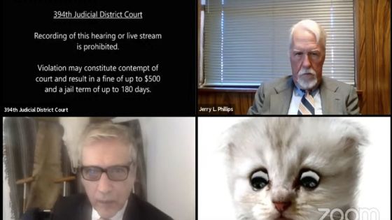 This image from video shows a hearing from the 394th Judicial District Court of Texas. The hearing took a detour when an attorney showed up looking like a kitten. A filter that had been activated on the attorney's device obscured his appearance and made him look like a cat. Judge Roy Ferguson shared the short video clip of the mishap on YouTube. The judge says everyone involved handled the situation with professionalism and grace. (Texas Department of Criminal Justice via AP)