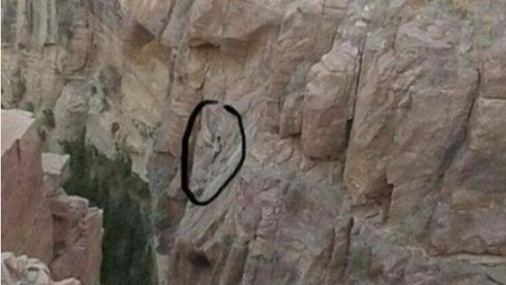 وفاة راعي أغنام إثر سقوطه عن شق صخري في الكرك