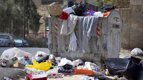 الحكومة: إلقاء النفايات خطر كبير على البيئة