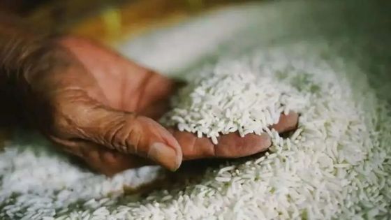 الحاج توفيق: لا توجد شركة تحتكر الرز في الاردن