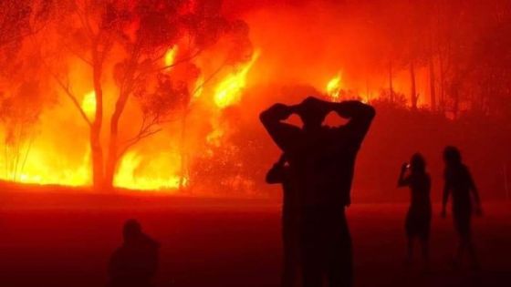 حرائق مرعبة تلتهم غابات الجزائر والآلاف يضطرون لإخلاء منازلهم هرباً من النيران