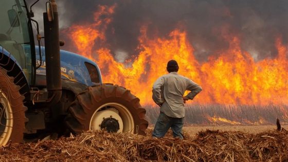 إعلان حالة الطوارئ في 45 بلدية في البرازيل بسبب الحرائق