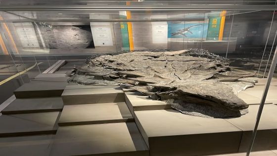 اكتشاف مومياء ديناصور نادرة عمرها 110 ملايين عام