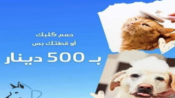 حمم قطك أو كلبك بـــ 500 دينار يثير السخط في الأردن