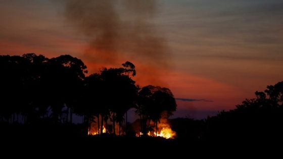 FILE PHOTO: Fire burns trees in an area of the Amazon rainforest in the Rondonia State, Brazil September 28, 2021. Picture taken September 28, 2021. REUTERS/Adriano Machado/File Photo/File Photo