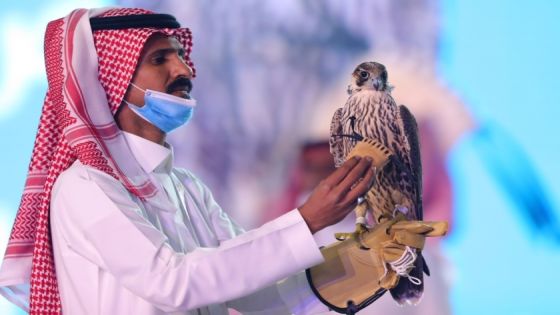 A Saudi man displays a falcon which was sold for SR650,000 (US$173284) during an auction at Saudi Falcons Club Auction in King Abdulaziz Festival in Mulham, north of Riyadh, Saudi Arabia, October 13, 2020, Picture taken October 13, 2020. Media Center Saudi Falcons Club Auction via REUTERS ATTENTION EDITORS - THIS IMAGE HAS BEEN SUPPLIED BY A THIRD PARTY.