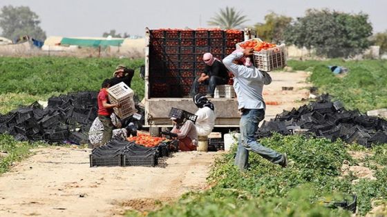 الضمان: الحماية يجب أن تشمل جميع العاملين في الأردن