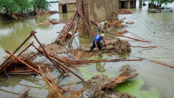 تحذيرات من تفشي الأمراض بباكستان بعد الفيضانات المدمرة