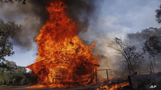 النيران تلتهم مقاطعة في كاليفورنيا .. ومخاوف من إعصار ناري