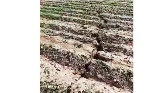 مخاوف يثيرها الشق الأرضي بالبقيع في الكرك وتحذير من تطور الحالة