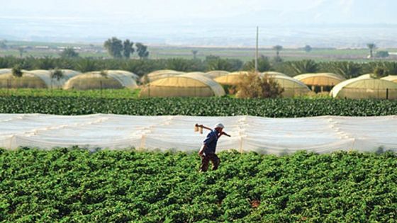 الفاو: الأردن وبلدان المنطقة يحتاجون لإدارة مواردهم المائية