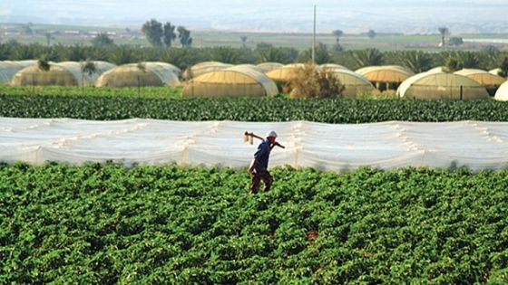 خدام يدق ناقوس الخطر حول القطاع الزراعي في الأردن
