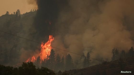 Trees catch fire during the Eagle Bluff wildfire after it crossed the Canada-U.S. border from the state of Washington and prompted evacuation orders, in Osoyoos, British Columbia, Canada July 30, 2023. REUTERS/Jesse Winter