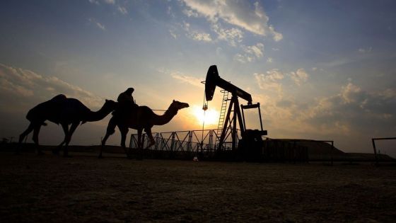 عامر الشوبكي يحذر الدول العربية النفطية