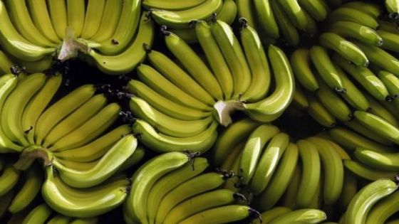 حماية المستهلك: قد نضطر لدعوة الأردنيين لمقاطعة الموز