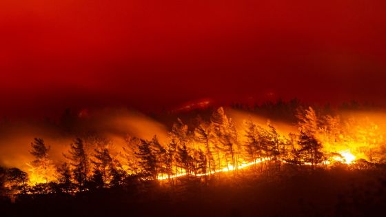 This picture shows flames rising from a forest burning in Akcayaka village in Milas area of the Mugla province, on August 6, 2021. - In Turkey, at least eight people have been killed and dozens more hospitalised as the country struggles against its deadliest wildfires in decades. (Photo by Yasin AKGUL / AFP)