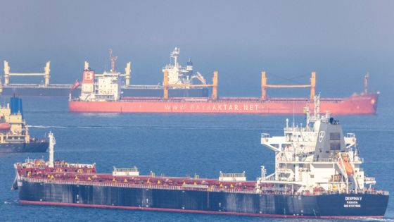 FILE PHOTO: Cargo ship Despina V, carrying Ukrainian grain, is seen in the Black Sea off Kilyos near Istanbul, Turkey November 2, 2022. REUTERS/Umit Bektas//File Photo