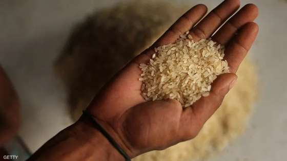 ضربة جديدة لأسواق الغذاء.. الهند تقيد صادرات الأرز