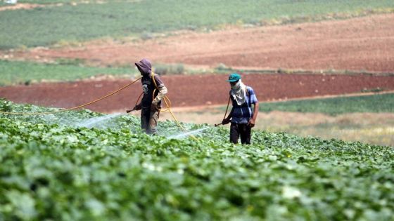 مزارعون في وادي الأردن: القطاع في وضع “حرج”