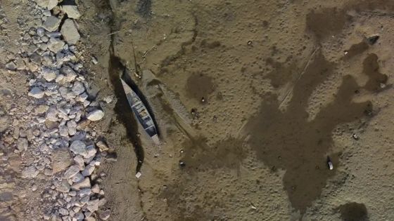 كارثة بيئية في العراق.. الأسماك والطيور اختفت من هور الدلمج