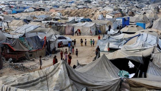 الفاو تحذر من كارثة إنسانية وزراعية غير مسبوقة في غزة