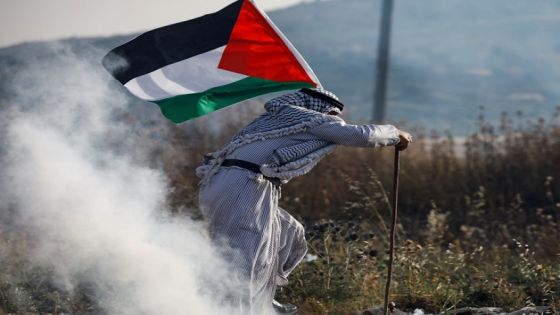 الولايات المتحدة : عضوية فلسطين الكاملة لن تساعد على إقامة دولة