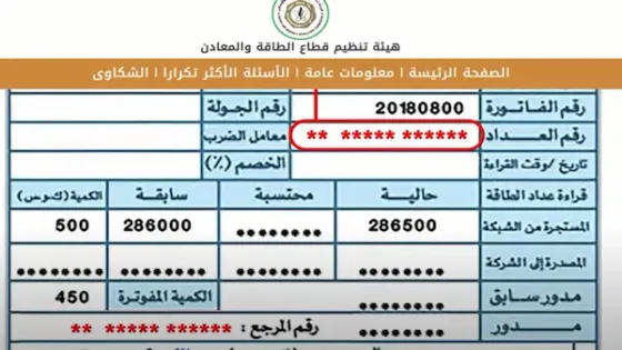 أكثر من 416 ألف طلب للاستفادة من دعم الكهرباء