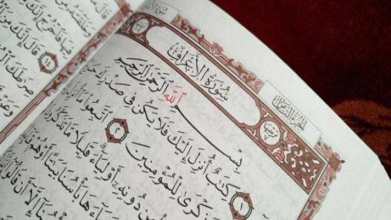 التربية تؤكد ورود خطأ مطبعي في كتاب التربية الاسلامية للصف العاشر