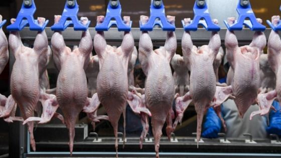 الحكومة : الدجاج متوفر و83 مخالفة لتجاوز السقوف السعرية