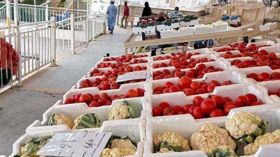 تجار: الأردن المصدر الأول للمستوردات الغذائية في قطر